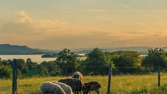  Health Blog – “Wellness Trends You Can’t Ignore in 2025”